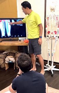 Skeleton models and anatomy apps make it easier to learn Functional Anatomy