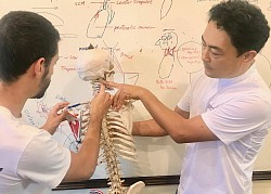 Understanding the structure of the spine