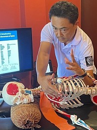 By using Skelton, you will cultivate massage skillset for postural correction