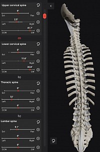 Spine Biomechanics