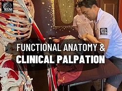 functional Anatomy & Clinical Palpation Course