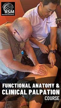 functional anatomy & Clinical Palpation course